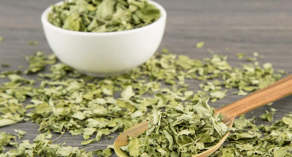 Blätter von Moringa oleifera: Was enthalten sie und wie kann man sie nutzen