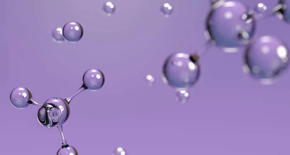 Phosphatidylserin oder Ashwagandha gegen Cortisol: Was wählen?