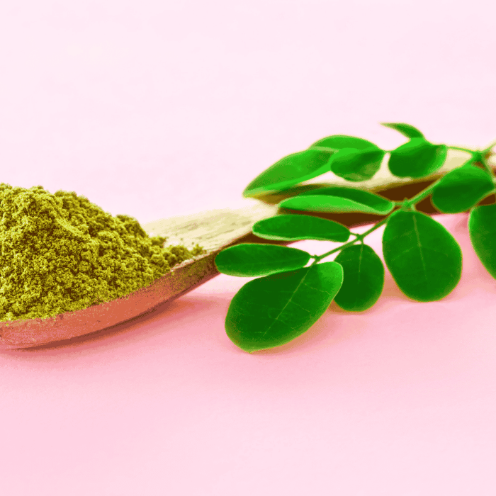 Moringa zu Hause anbauen: Schritt-für-Schritt-Anleitung