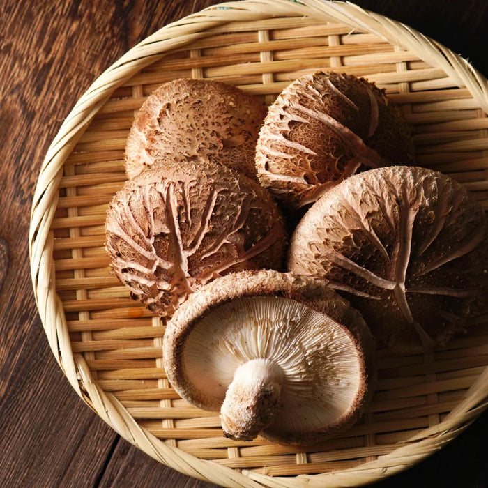 Funghi Shiitake: cos'e, proprieta e benefici di Lentinula edodes