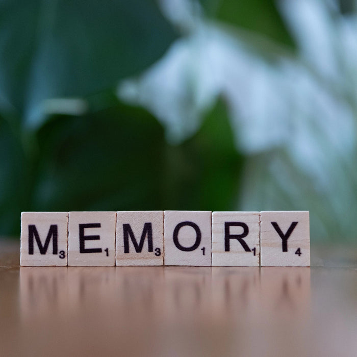 Integratori per la memoria: quale scegliere in base al tuo obiettivo