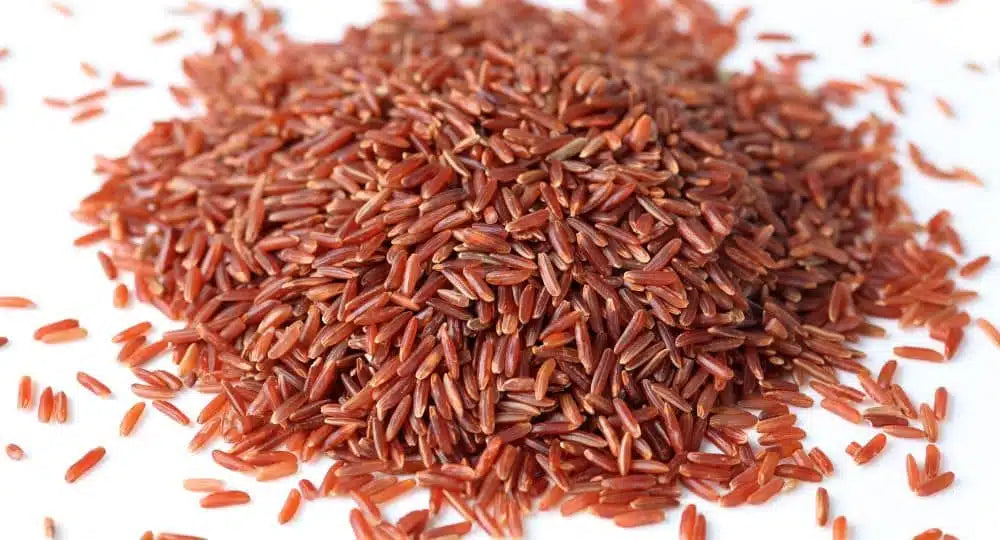Monacoline da Riso Rosso fermentato, utili per il Colesterolo. Limiti ...