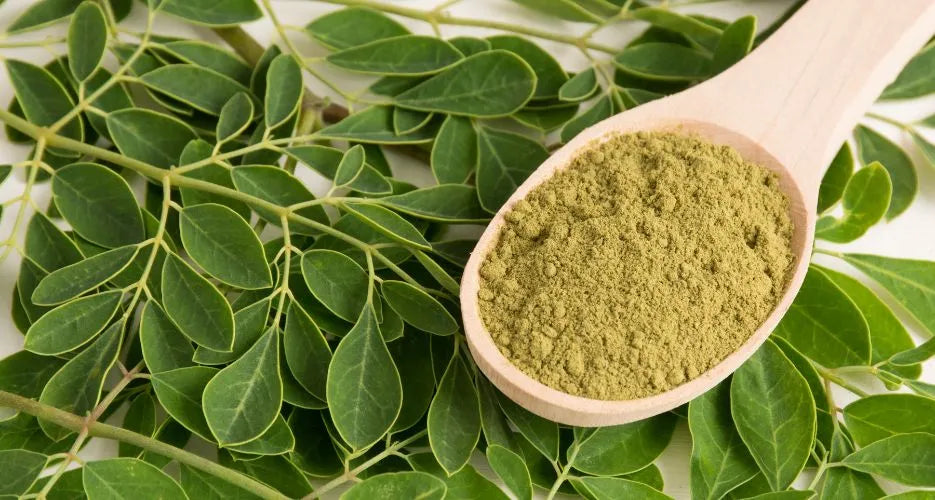 Pancia gonfia? Moringa oleifera, il rimedio sconosciuto — RedMoringa