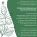 Erganzung Moringa Oleifera-Bio