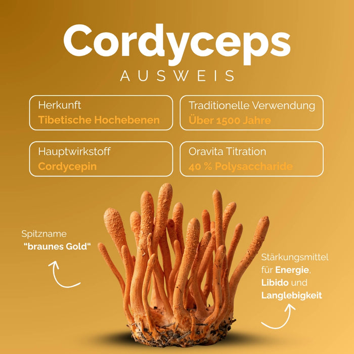 Cordyceps – der Pilz der tibetischen Hochebene: Cordycepin, 40% Polysaccharide, über 1500 Jahre Anwendungstradition