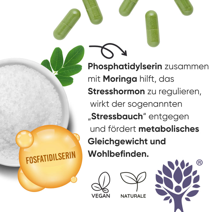 Fosfatidilserina 450mg + Moringa | Cortisolo, Stress