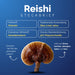 Kit 4 Pilze – Reishi Steckbrief: Ganoderinsäure, 30% Polysaccharide, Stress und Herzgesundheit