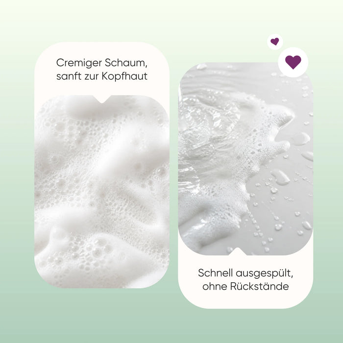 Moringa shampoo: creamy lather, gentle on the scalp, rinses out with no residue