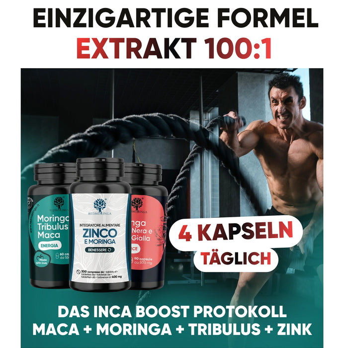 Starkes Maca Extrakt 100:1 – Inca Boost Protokoll RedMoringa: 4 Kapseln täglich mit Maca, Moringa, Tribulus und Zink