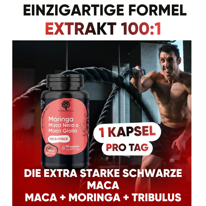 Schwarze Maca Formel 100:1 – 1 Kapsel täglich mit Extra Starker Maca Nera, Moringa und Tribulus