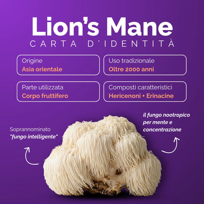 Lion’s Mane profile: fruiting body, hericenones and erinacines