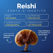 Reishi profile: East Asia, ganoderic acid, 30% polysaccharides
