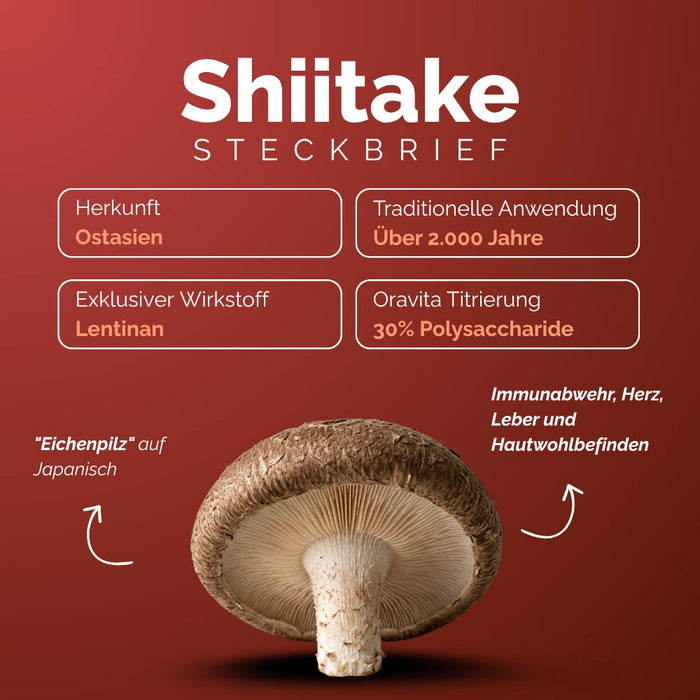 Shiitake – der "Eichenpilz" aus Ostasien: Lentinan, 30% Polysaccharide, über 2000 Jahre Anwendungstradition