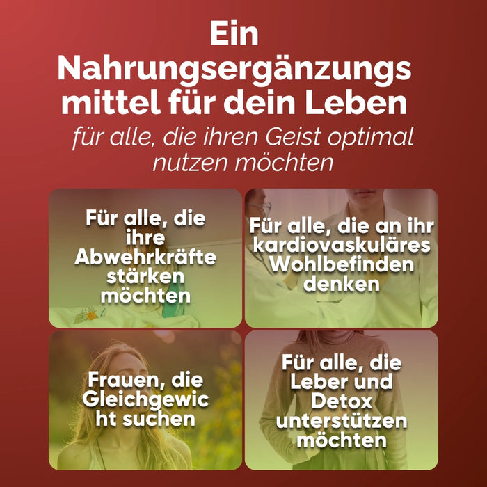 Shiitake Nahrungsergänzung für alle, die Immunsystem, Leber und Herz-Kreislauf-Gesundheit unterstützen wollen