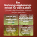 Shiitake Nahrungsergänzung für alle, die Immunsystem, Leber und Herz-Kreislauf-Gesundheit unterstützen wollen