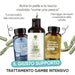 Intensive leg routine: fluid drainage, healthy microcirculation, nourished skin