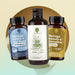 RedMoringa Intensive Anti-Cellulite Treatment: Moringa Bilberry and Red Vine, body oil and Moringa Pineapple and Bromelain